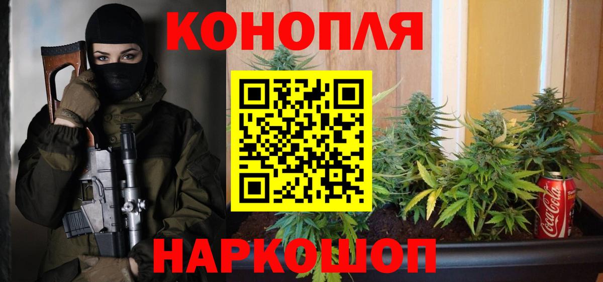 Бошки Шишки планчик Ливны